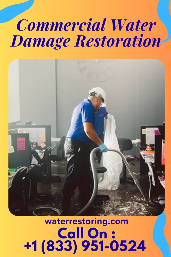 Commercial Water Damage Restoration in Prophetstown, IL