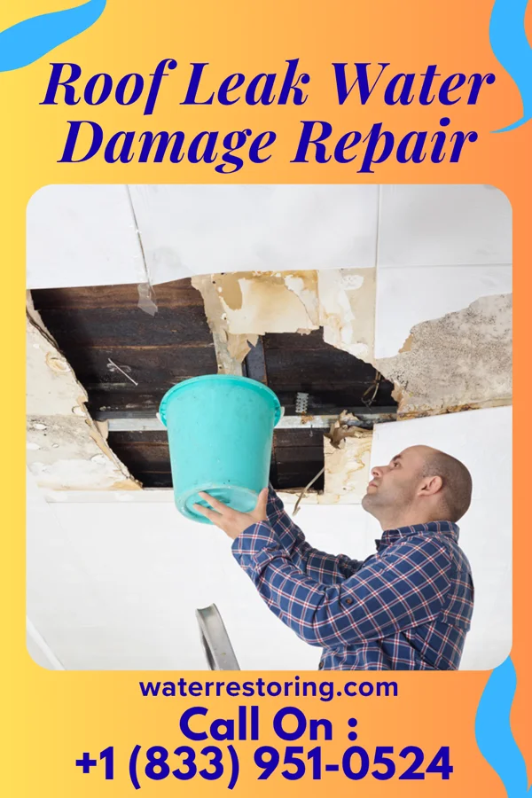 Roof Leak Water Damage Repair in Prophetstown, IL